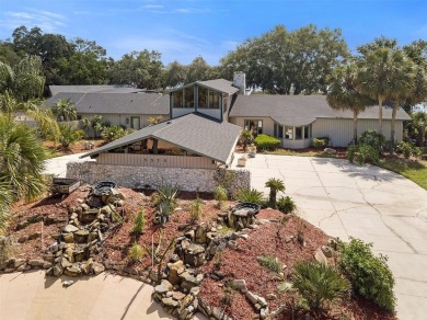 Bring your horses, cars, RV, boat, and jet skis! This - photo 3