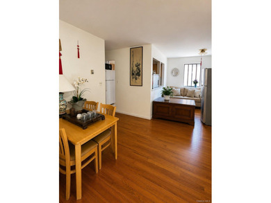 Great investment opportunity in the heart of Flushing. This - photo 25