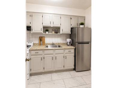 Great investment opportunity in the heart of Flushing. This - photo 26
