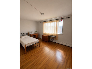 Great investment opportunity in the heart of Flushing. This - photo 27