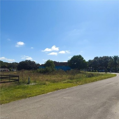Lehigh Acres Area Lot For Sale in Alva Florida