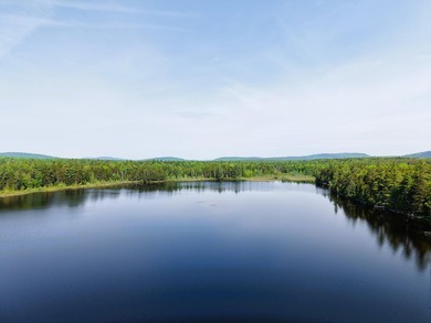Attention investors! Now available: 252A+- acres in the heart of - photo 11