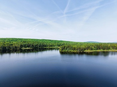 Attention investors! Now available: 252A+- acres in the heart of - photo 12