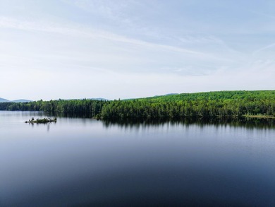 Attention investors! Now available: 252A+- acres in the heart of - photo 13