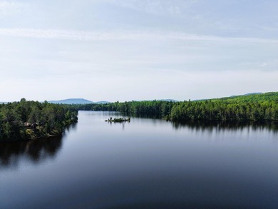 Attention investors! Now available: 252A+- acres in the heart of - photo 14