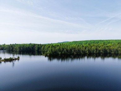 Attention investors! Now available: 252A+- acres in the heart of - photo 15