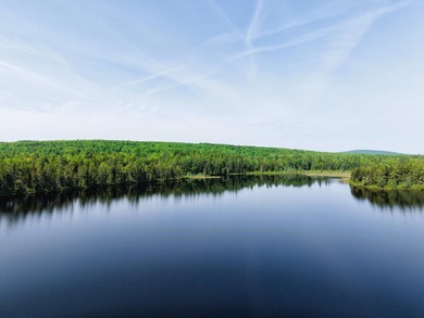 Attention investors! Now available: 252A+- acres in the heart of - photo 16