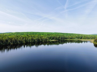 Attention investors! Now available: 252A+- acres in the heart of - photo 17