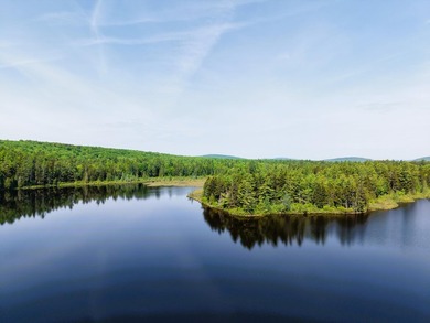 Attention investors! Now available: 252A+- acres in the heart of - photo 18