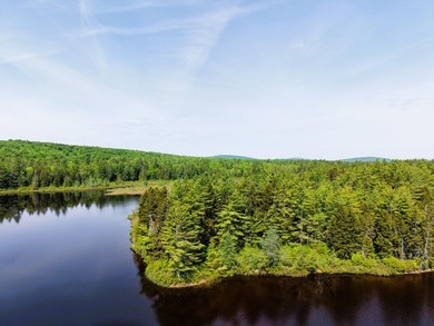 Attention investors! Now available: 252A+- acres in the heart of - photo 19