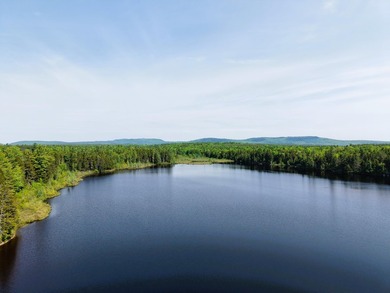 Attention investors! Now available: 252A+- acres in the heart of - photo 20