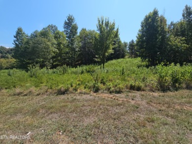 Lake Lot For Sale in Harriman, Tennessee