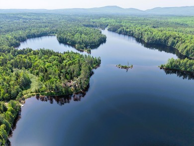Attention investors! Now available: 252A+- acres in the heart of - photo 21