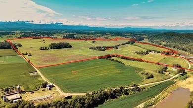 Nolichucky River Acreage For Sale in Chuckey Tennessee