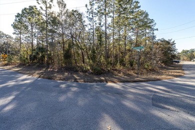 Prime opportunity in desirable Sugarmill Woods community! Flood - photo 2