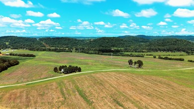 For the first time since its founding in 1777, Elmwood Farm, a - photo 3