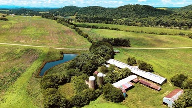 For the first time since its founding in 1777, Elmwood Farm, a - photo 4
