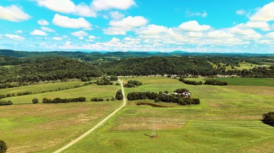 For the first time since its founding in 1777, Elmwood Farm, a - photo 6