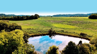 For the first time since its founding in 1777, Elmwood Farm, a - photo 9