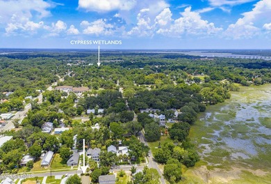 SHORT TERM RENTAL IN PORT ROYAL! Turnkey investment with a - photo 41