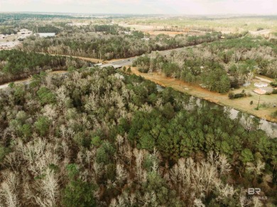 (private lake, pond, coastal) Acreage For Sale in Mobile Alabama