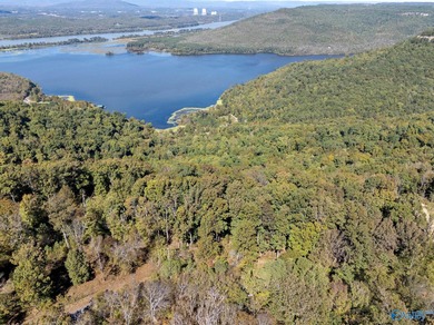 Lake Guntersville Lot For Sale in Dutton Alabama