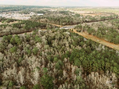 4.25 acres! So many possibilities just off Riviere Du Chien Road - photo 2