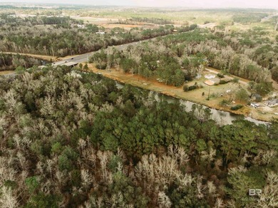 4.25 acres! So many possibilities just off Riviere Du Chien Road - photo 3