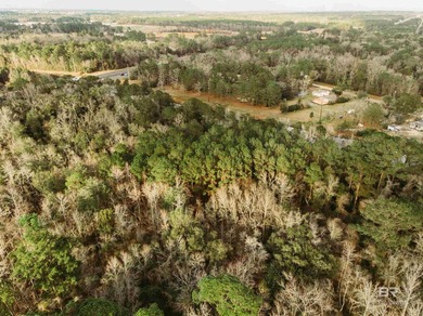 4.25 acres! So many possibilities just off Riviere Du Chien Road - photo 5