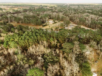 4.25 acres! So many possibilities just off Riviere Du Chien Road - photo 6
