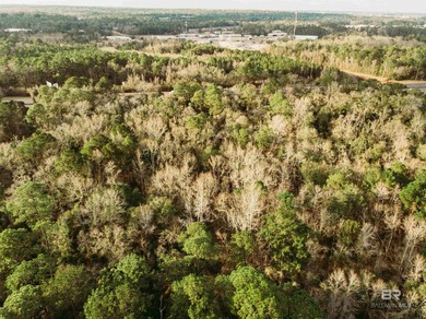 4.25 acres! So many possibilities just off Riviere Du Chien Road - photo 7