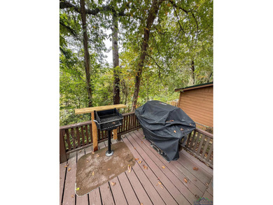 Get ready for endless adventures on the lake with this truly - photo 35