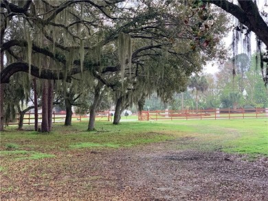 Opportunity Knocks!  Don't miss this chance to own over 6 acres - photo 2