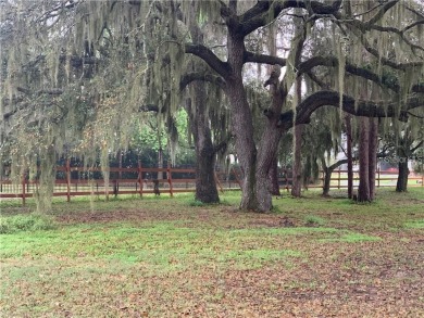 Opportunity Knocks!  Don't miss this chance to own over 6 acres - photo 3
