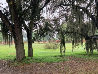 Opportunity Knocks!  Don't miss this chance to own over 6 acres - photo 4