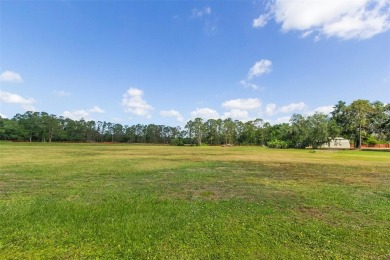 Opportunity Knocks!  Don't miss this chance to own over 6 acres - photo 5