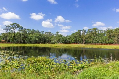 Opportunity Knocks!  Don't miss this chance to own over 6 acres - photo 6