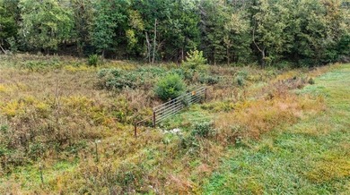 Dream of a lake front property? How about SWEPCO Lake Front? - photo 33