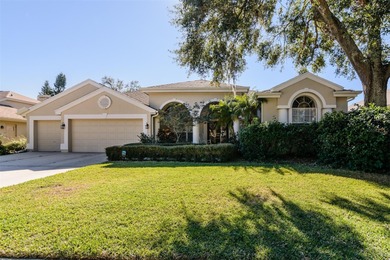 Lake Tarpon Home For Sale in Palm Harbor Florida
