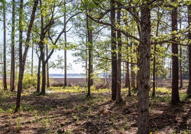 Seller will credit $15,000 at closing for buyer closing costs or - photo 5