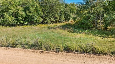 Come to a clean slate, create your dream space, lake front - photo 16