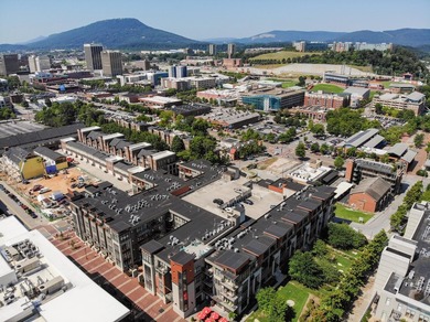 Located in one of Downtown Chattanooga's most sought-after - photo 30