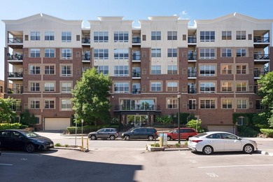 This beautifully updated end-unit condo is filled with natural - photo 38
