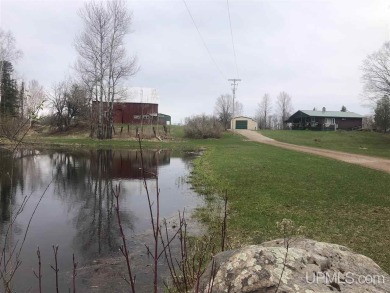 (private lake, pond, creek) Home For Sale in Rock Michigan