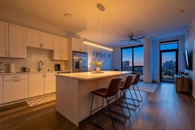 South facing unit filled with natural light, 2 garage stalls - photo 2