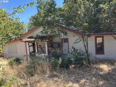 Lake Home For Sale in Wishram, Washington
