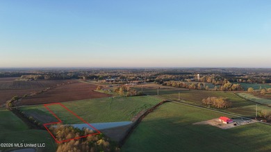 Gorgeous 4.29-Acre WATERFRONT Homesite in SandHill Farms! Lot 4 - photo 11