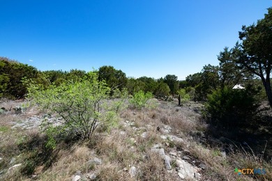 Build your custom Hill Country estate on this exceptional 1 - photo 11