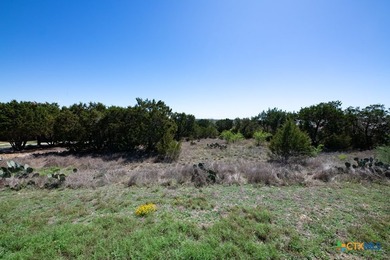 Build your custom Hill Country estate on this exceptional 1 - photo 13