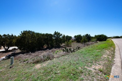 Build your custom Hill Country estate on this exceptional 1 - photo 14